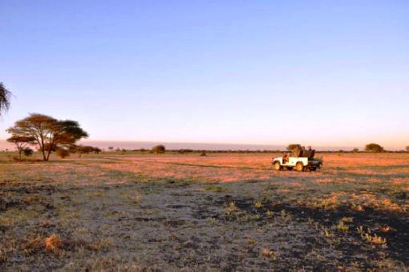Dornhuegel Guestfarm 호텔 Grootfontein 외부 사진