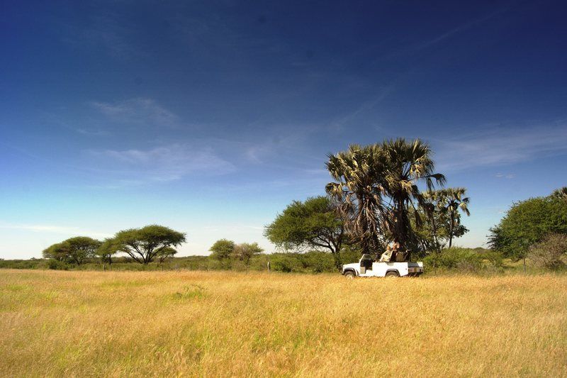 Dornhuegel Guestfarm 호텔 Grootfontein 외부 사진