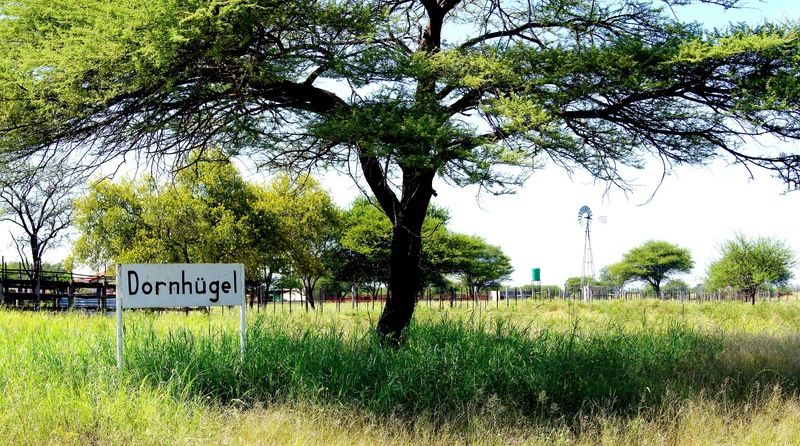 Dornhuegel Guestfarm 호텔 Grootfontein 외부 사진