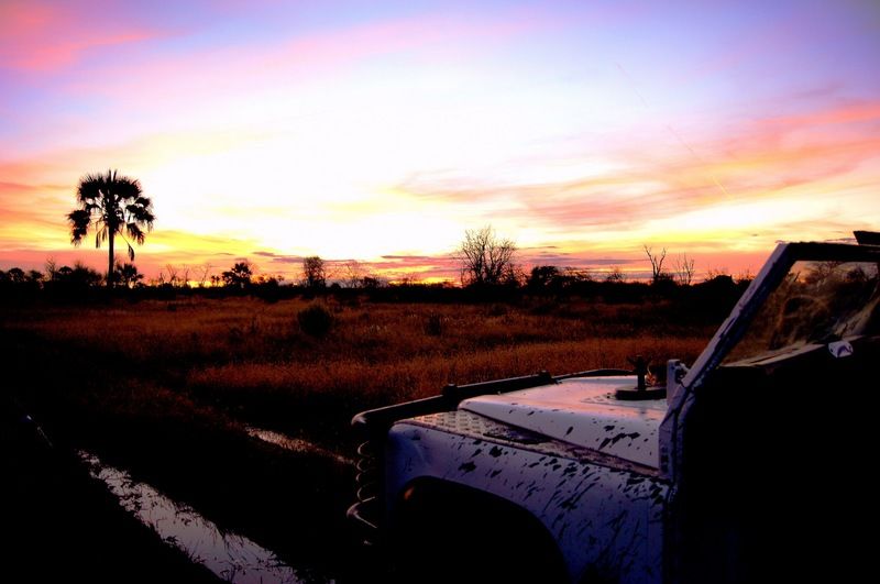 Dornhuegel Guestfarm 호텔 Grootfontein 외부 사진