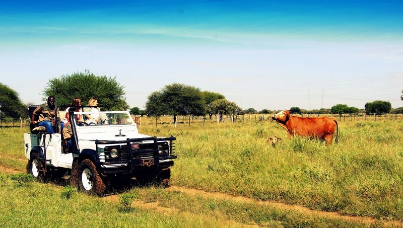 Dornhuegel Guestfarm 호텔 Grootfontein 외부 사진