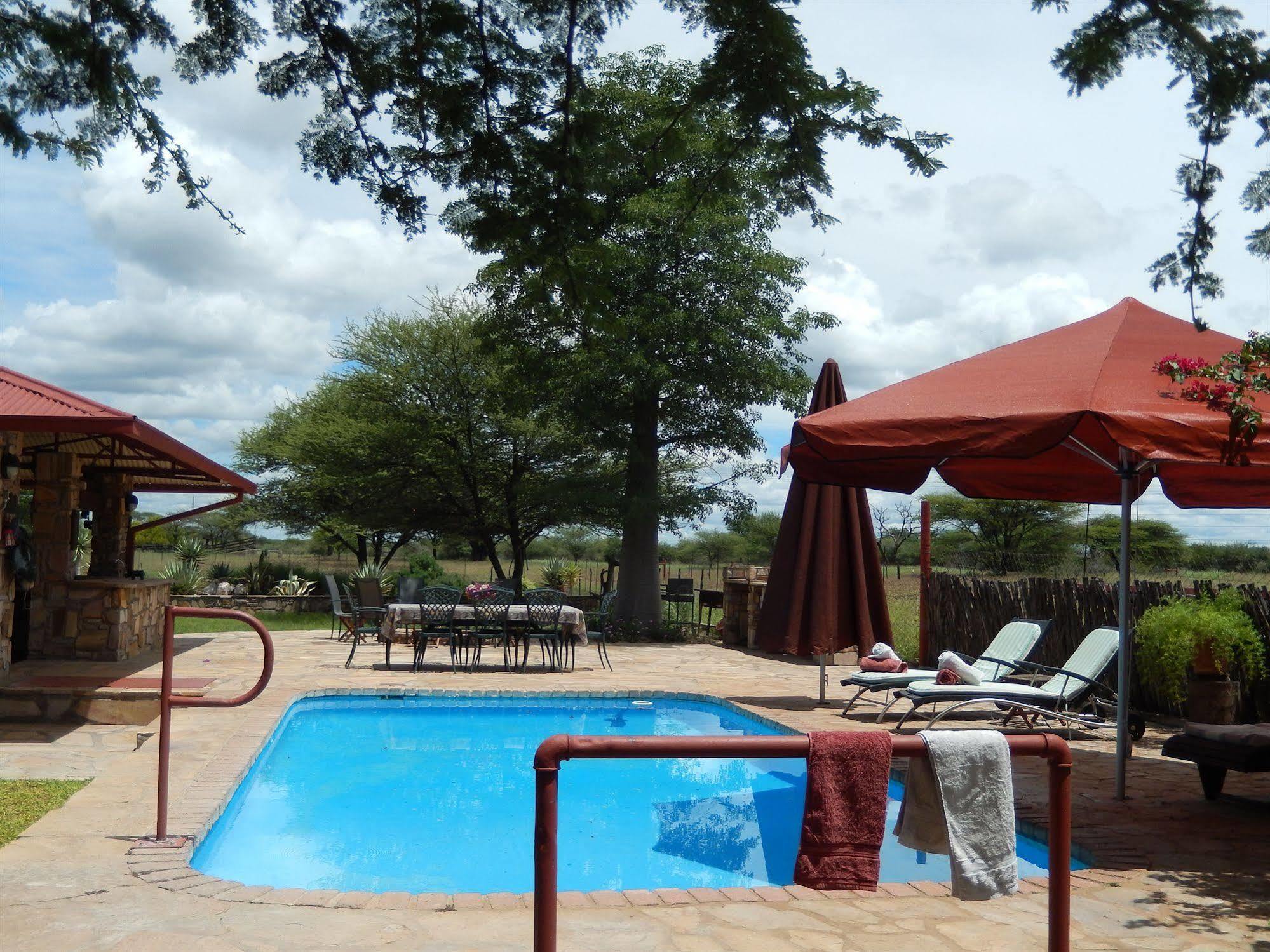 Dornhuegel Guestfarm 호텔 Grootfontein 외부 사진